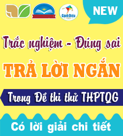 Trắc nghiệm - TN Đúng Sai - Trả lời ngắn Hóa 11 (Trong Đề thi thử.....)